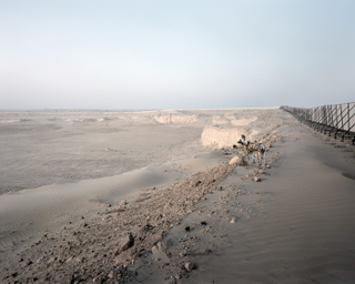 Illustration for article titled The Ruins of Dubai with Wild Animals. Hey, This Could Be a Sony Video Game.